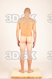 Body texture of Hanus 0015